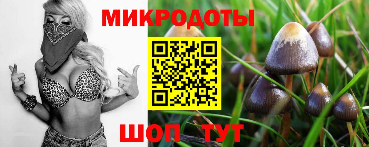 Галлюциногенные грибы прущие грибы  Вход с VPN  наркота  Галлюциногенные грибы GOLDEN TEACHER  Светлоград 